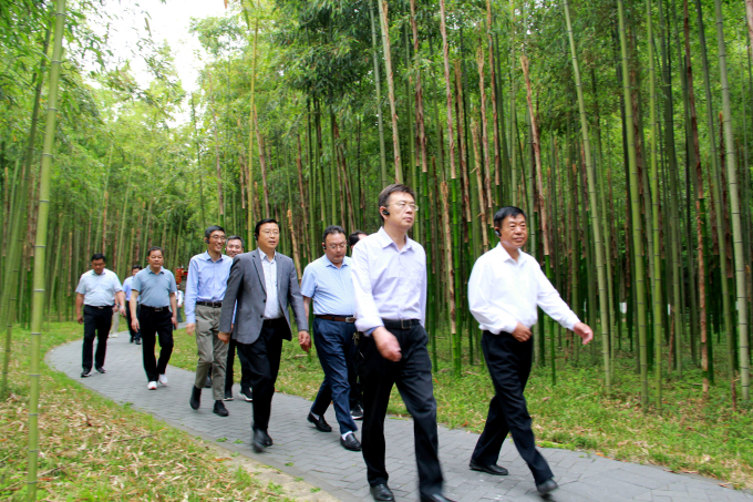 1622855813454491.jpg 5.jpg